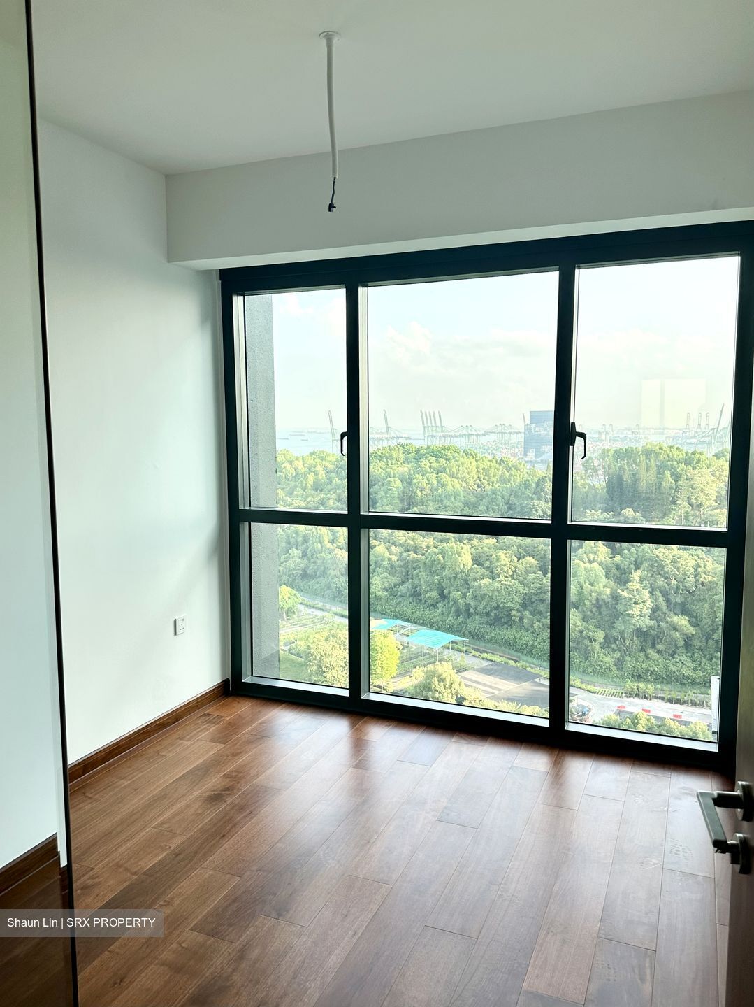 Normanton Park (D5), Apartment #411971621